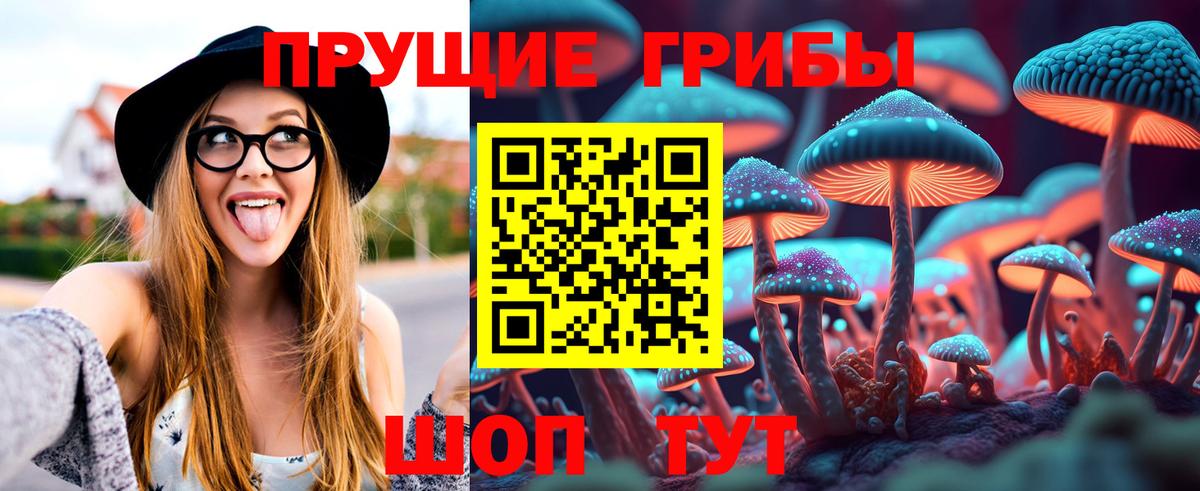 Галлюциногенные грибы ЛСД  Вход с VPN  Нефтекамск  Галлюциногенные грибы GOLDEN TEACHER 