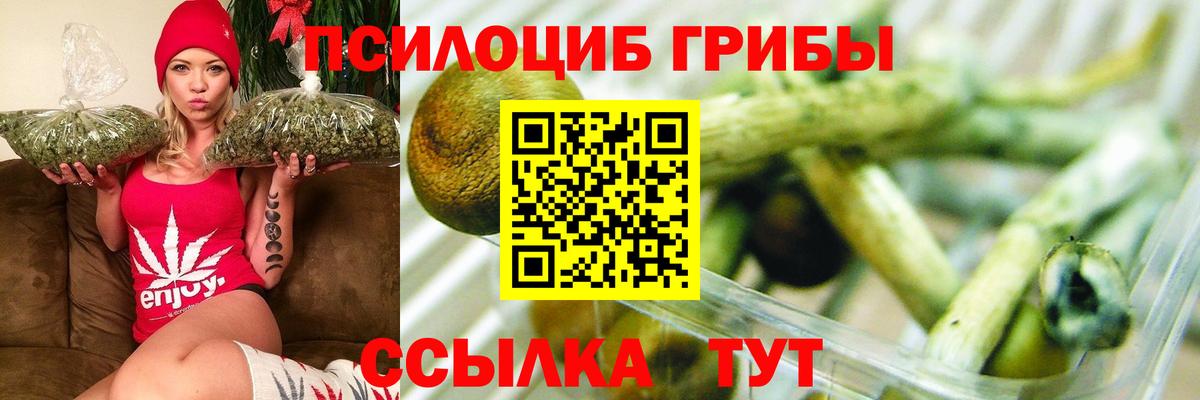 Галлюциногенные грибы Cubensis Нефтекамск